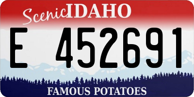 ID license plate E452691