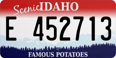 ID license plate E452713