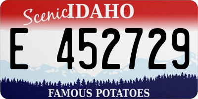 ID license plate E452729