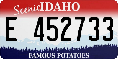 ID license plate E452733