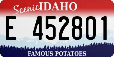 ID license plate E452801