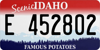 ID license plate E452802