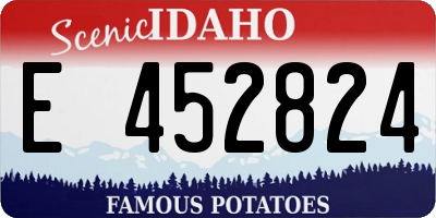 ID license plate E452824