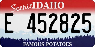 ID license plate E452825