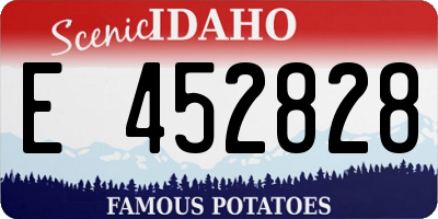 ID license plate E452828
