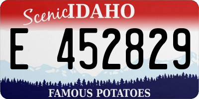 ID license plate E452829