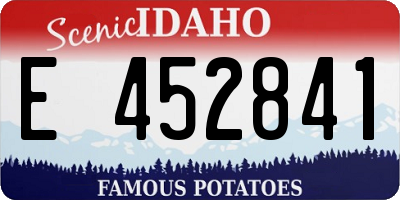 ID license plate E452841