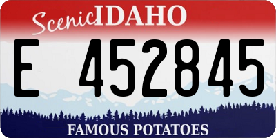 ID license plate E452845