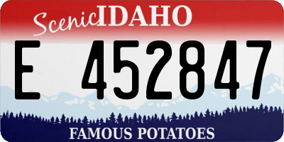 ID license plate E452847