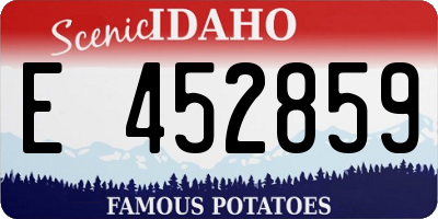 ID license plate E452859