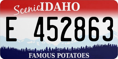 ID license plate E452863