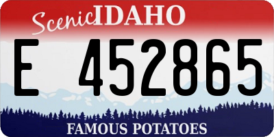 ID license plate E452865