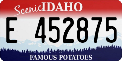 ID license plate E452875