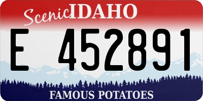 ID license plate E452891