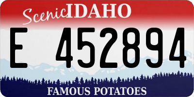 ID license plate E452894