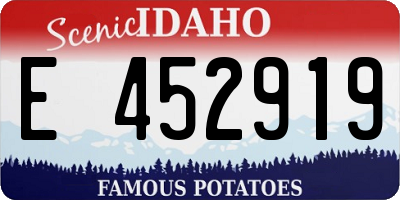 ID license plate E452919