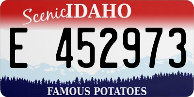 ID license plate E452973