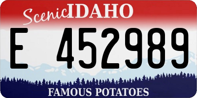 ID license plate E452989