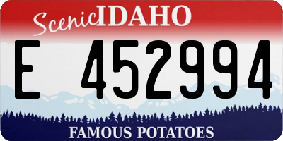 ID license plate E452994