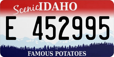 ID license plate E452995