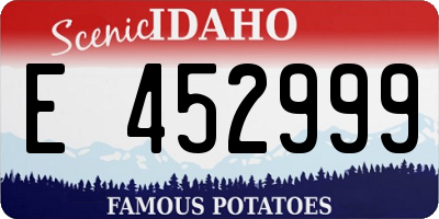 ID license plate E452999