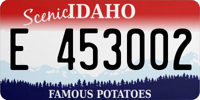 ID license plate E453002
