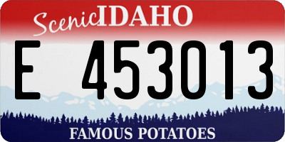 ID license plate E453013