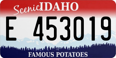 ID license plate E453019