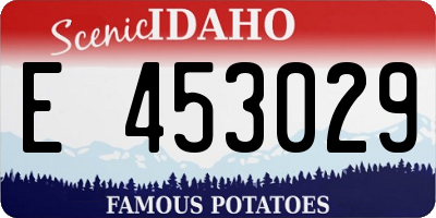 ID license plate E453029