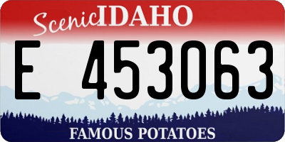 ID license plate E453063