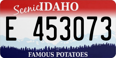 ID license plate E453073