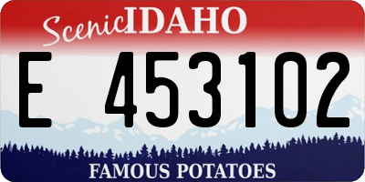 ID license plate E453102