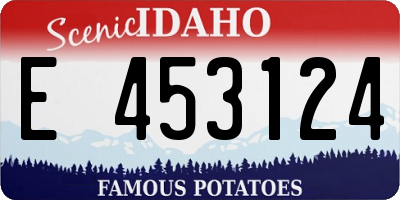 ID license plate E453124