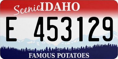 ID license plate E453129