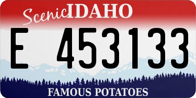 ID license plate E453133