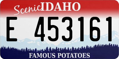 ID license plate E453161
