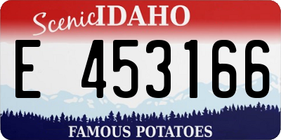 ID license plate E453166