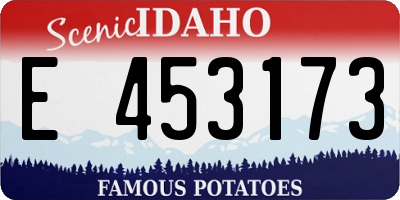 ID license plate E453173