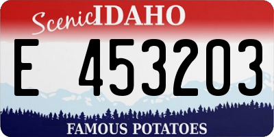 ID license plate E453203