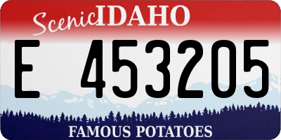 ID license plate E453205