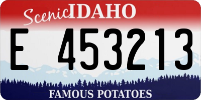 ID license plate E453213