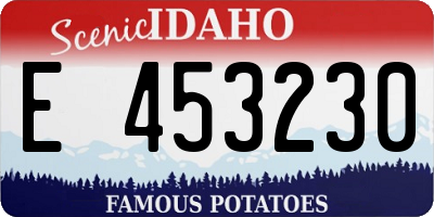 ID license plate E453230