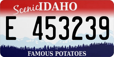 ID license plate E453239