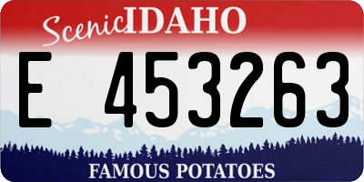 ID license plate E453263