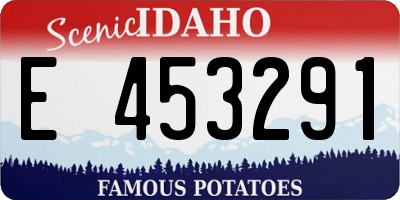 ID license plate E453291