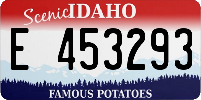 ID license plate E453293