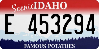 ID license plate E453294