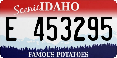ID license plate E453295