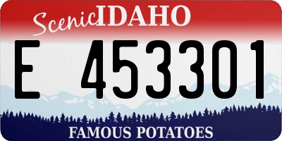 ID license plate E453301