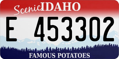 ID license plate E453302